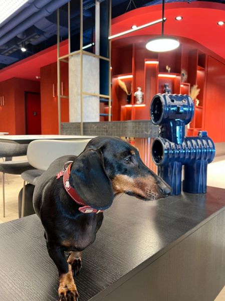 Teltházra készülnek a reptéri szállodák